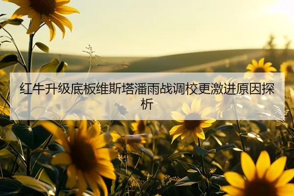 红牛升级底板维斯塔潘雨战调校更激进原因探析